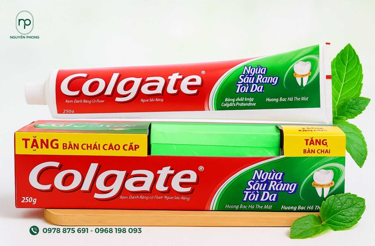 Hộp giấy đựng kem đánh răng Colgate